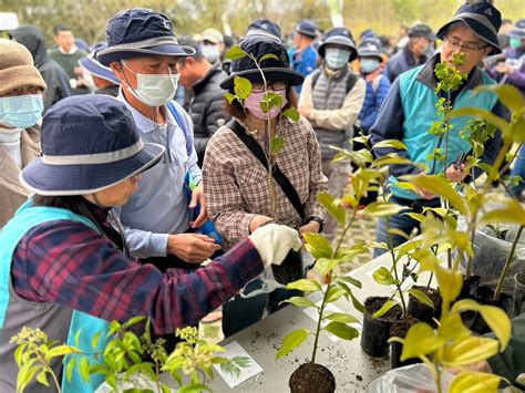 庭院適合種的樹|臺灣原生樹木推廣及媒合平臺